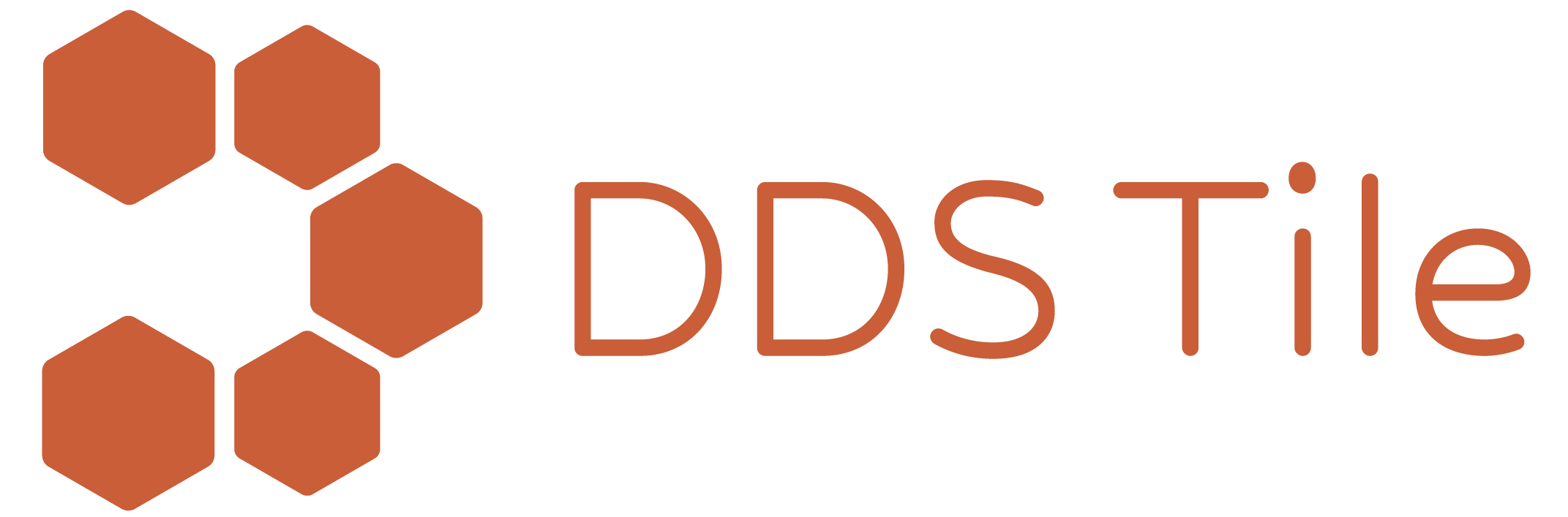 DDS Logo